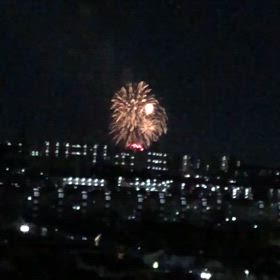 季節外れの画像