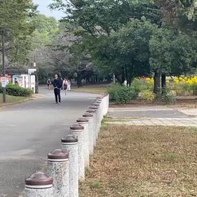 県駅伝選考会（10/27）①の画像