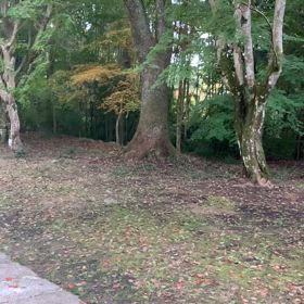 KIN135    青い鷲　青い猿　音5の画像