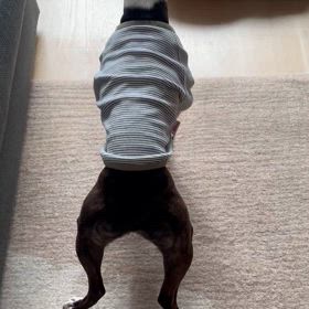 具合悪いの画像