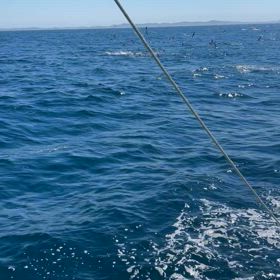 今日の追加動画の画像