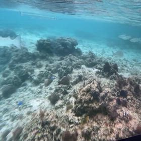 ”義両親と4泊5日の沖縄旅行”の画像