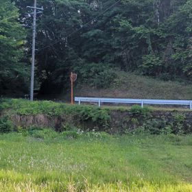 またまたアナグマちゃんの画像