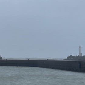 3/30（土）明日のイカは中止に致しました！の画像