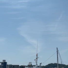 せっかく来て頂いたのに。の画像