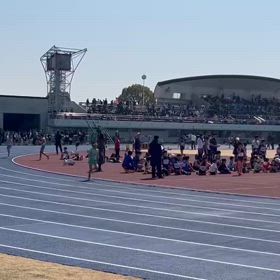 越谷春季（男子800m）⑯の画像