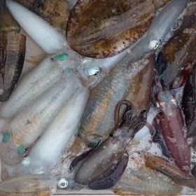 趣味の力は偉大です。の画像