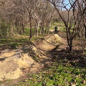山はカラッカラですし食べ物もない状態です。の画像