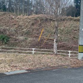 春を告げるの画像