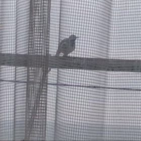 並んで、微妙な距離…。の画像