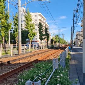 2024/08/20の画像