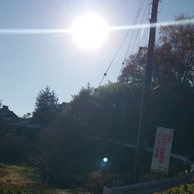 散歩な毎日。の画像