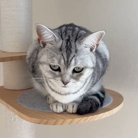 人間観察の画像