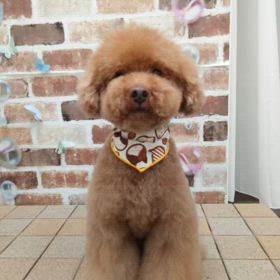 空治郎　の画像