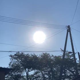 ☀️ 太陽の光はタダ！ 実はすごい美肌＆元気チャージ術✨の画像