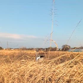 今日も素敵な1日をの画像