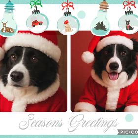 メリークリスマスの画像