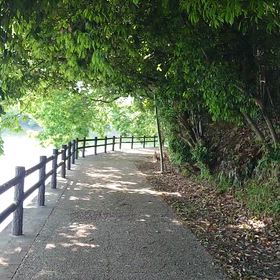 勅使池散策路の画像