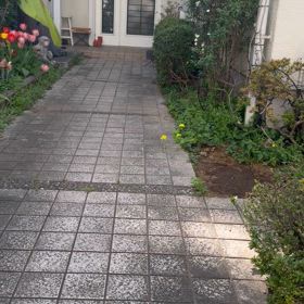 乱れ咲きの画像