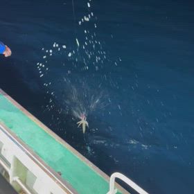 11/24（日）の画像