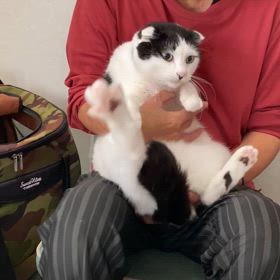 さだこ的な脱出の画像