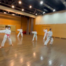 2/22わらび道場成年稽古動画の画像