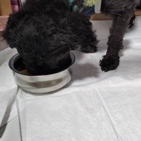 朝ごはんの画像