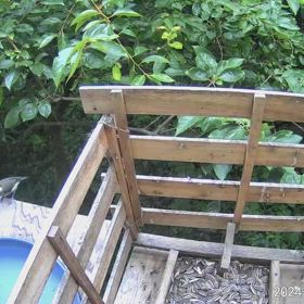 すぎぴたんの事件簿シーズン3　532話（キセキレイ（黄鶺鴒）様　ご来店！）の画像