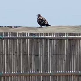 お盆ライド！の画像