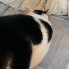 義母が救急車で運ばれましたの画像