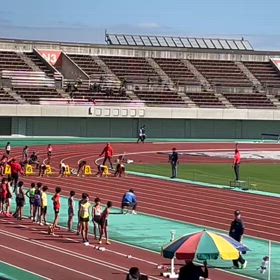 クラブ交流４年80ｍ⑦の画像