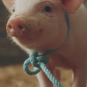 AIで姉ちゃんいじりの画像