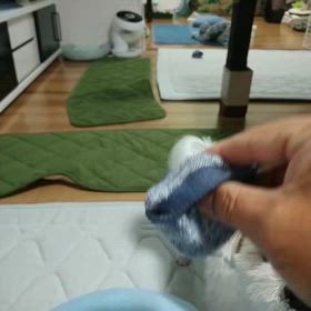 散乱する靴下の画像