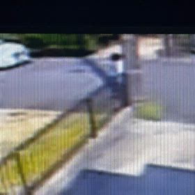 戻ってきて、また投げ捨て！Σ('◉⌓◉’)の画像