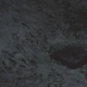 オイオイ、降ってるよ⛄の画像