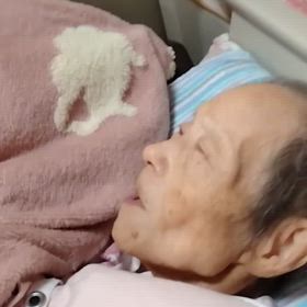 アイちゃん元気ですの画像