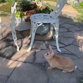 気持ちいい夕暮れ時の画像