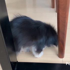 相変わらずです。の画像