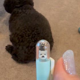 なんだこれ！笑の画像