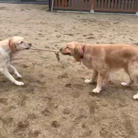 楽しそう。の画像