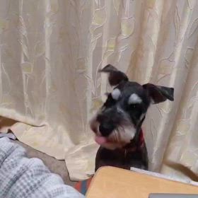 ほんと、そこのお兄さん　ちょうだいよ！の画像