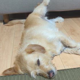 寝てるときの画像