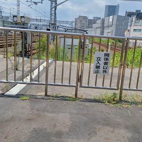 2024/08/21の画像