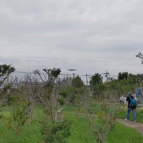 2025/08/17、元千里川土手飛行機の画像