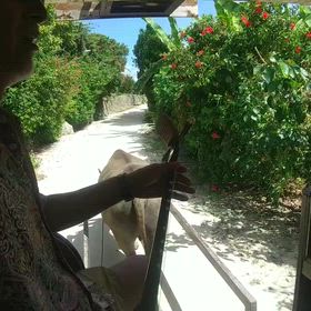 島めぐり  #7  (付録の動画)の画像