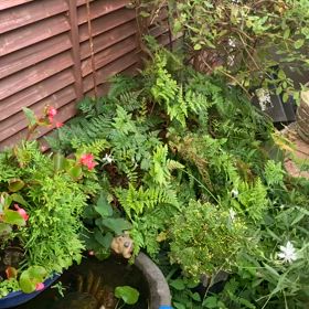 87歳の歌姫　「この道」アップから四年後の今を生きる。の画像