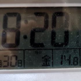 1/30 FM Bettyの画像