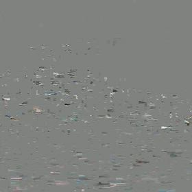 仙台水族館イルカの画像