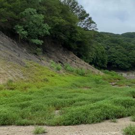 ぼちぼち猟場下調べの画像