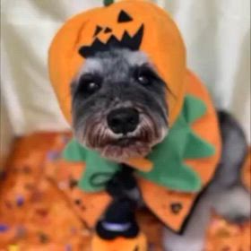 まるとaptの画像